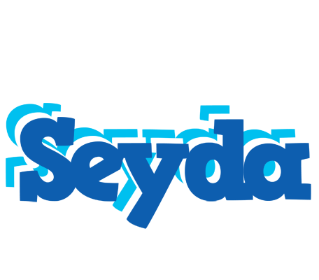 Seyda business logo