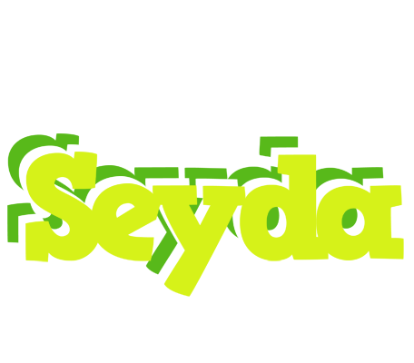 Seyda citrus logo