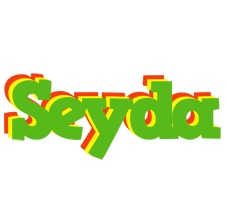 Seyda crocodile logo