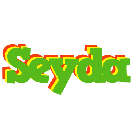 Seyda crocodile logo