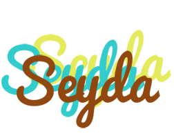 Seyda cupcake logo