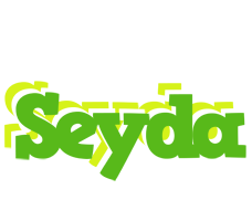 Seyda picnic logo