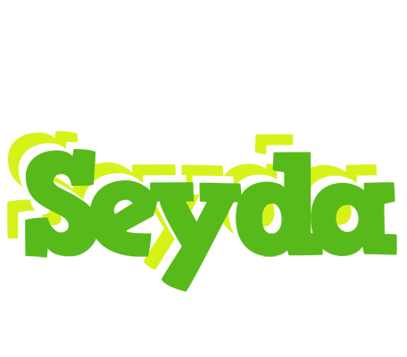 Seyda picnic logo