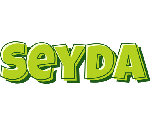 Seyda summer logo