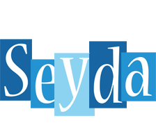 Seyda winter logo