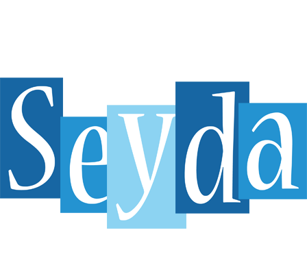 Seyda winter logo