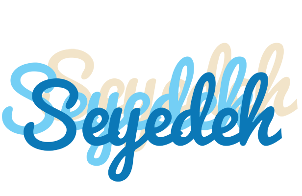 Seyedeh breeze logo