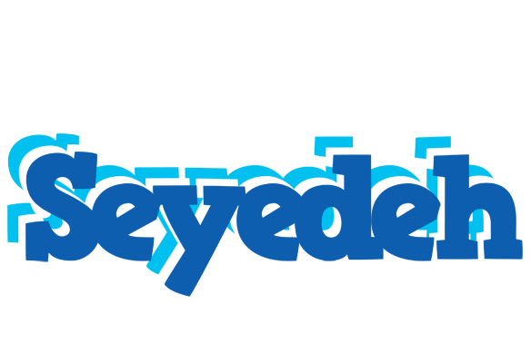 Seyedeh business logo