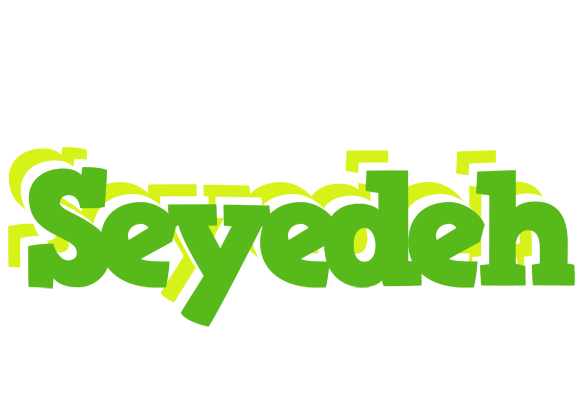 Seyedeh picnic logo