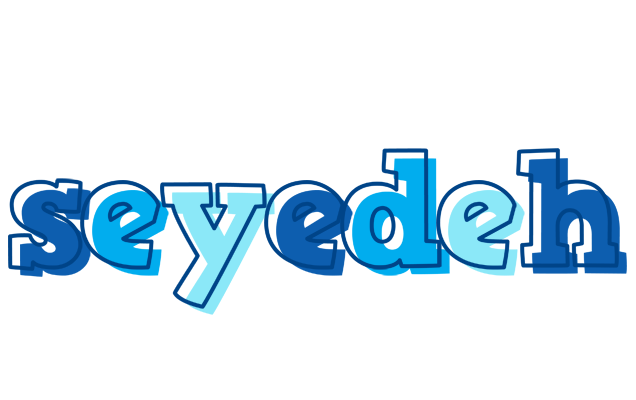 Seyedeh sailor logo