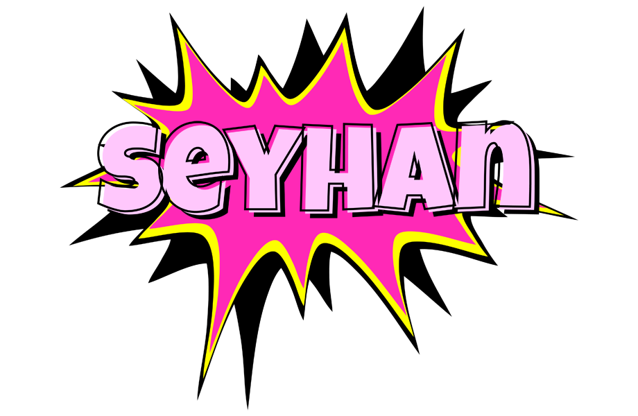 Seyhan badabing logo