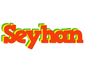 Seyhan bbq logo