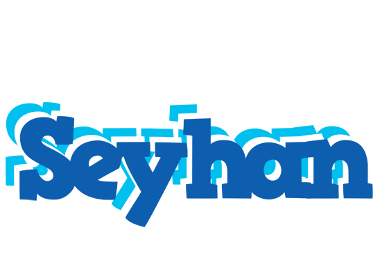 Seyhan business logo