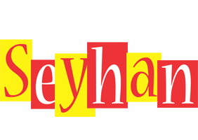 Seyhan errors logo