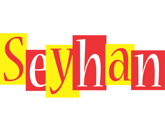 Seyhan errors logo