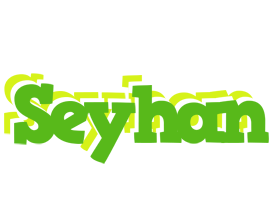 Seyhan picnic logo