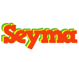 Seyma bbq logo