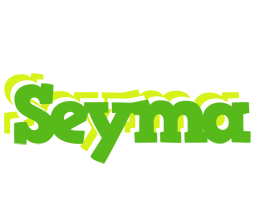 Seyma picnic logo