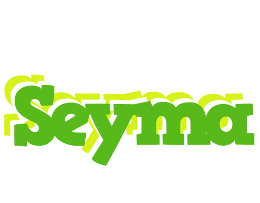 Seyma picnic logo