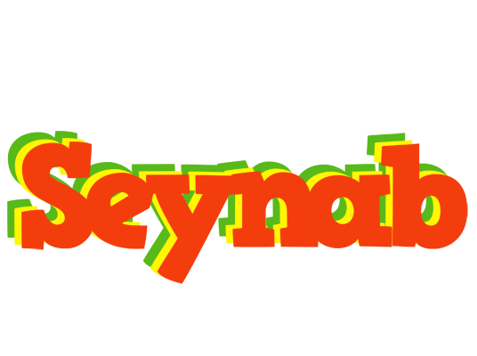 Seynab bbq logo