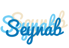 Seynab breeze logo