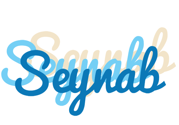 Seynab breeze logo