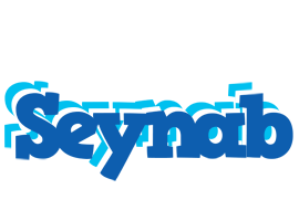 Seynab business logo