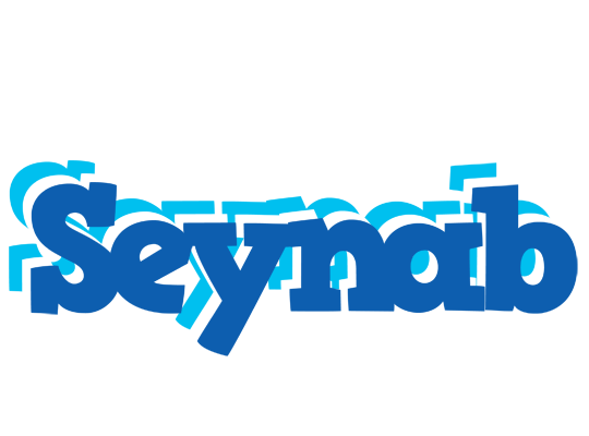 Seynab business logo