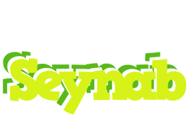 Seynab citrus logo