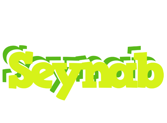 Seynab citrus logo