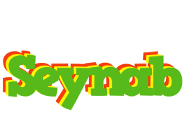 Seynab crocodile logo