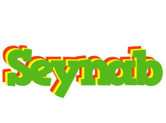 Seynab crocodile logo