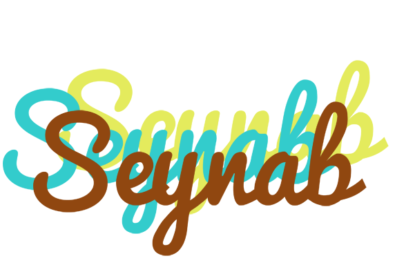 Seynab cupcake logo