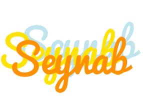 Seynab energy logo