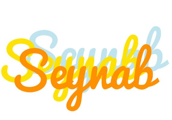 Seynab energy logo