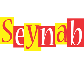 Seynab errors logo