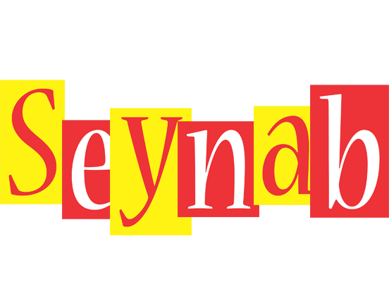 Seynab errors logo