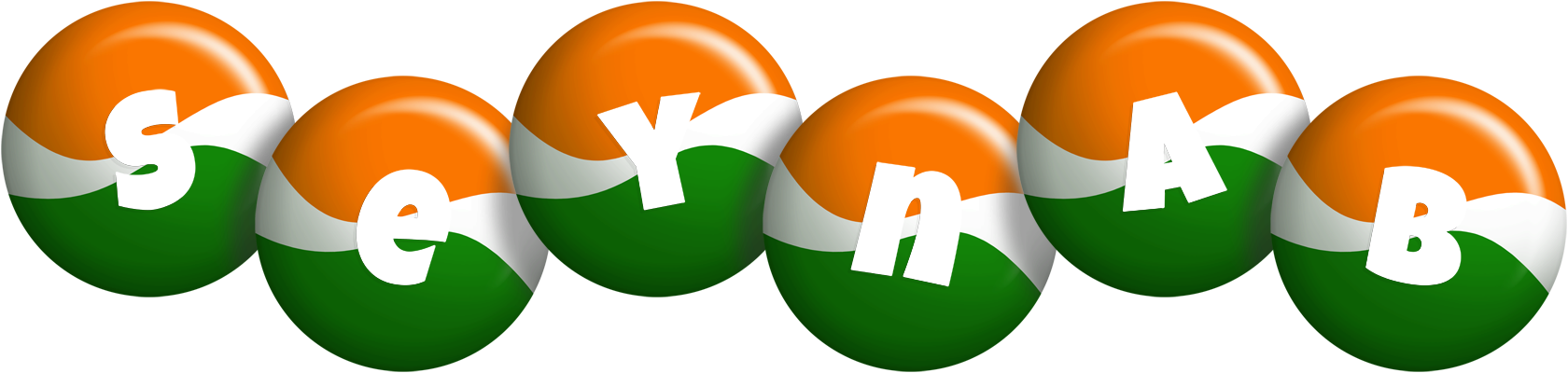 Seynab india logo