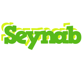 Seynab picnic logo