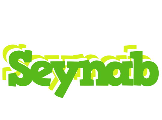 Seynab picnic logo