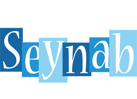 Seynab winter logo