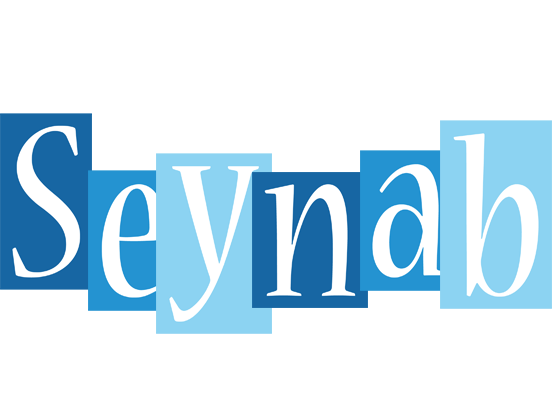 Seynab winter logo