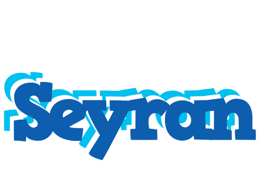 Seyran business logo