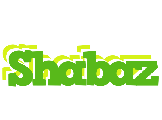 Shabaz picnic logo