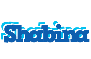 Shabina business logo