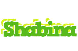 Shabina picnic logo