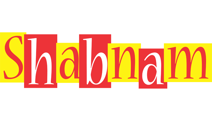 Shabnam errors logo