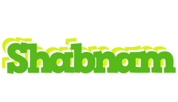 Shabnam picnic logo