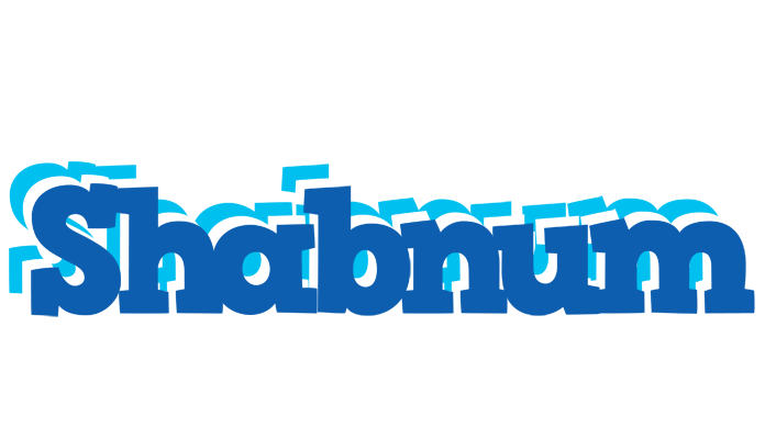 Shabnum business logo