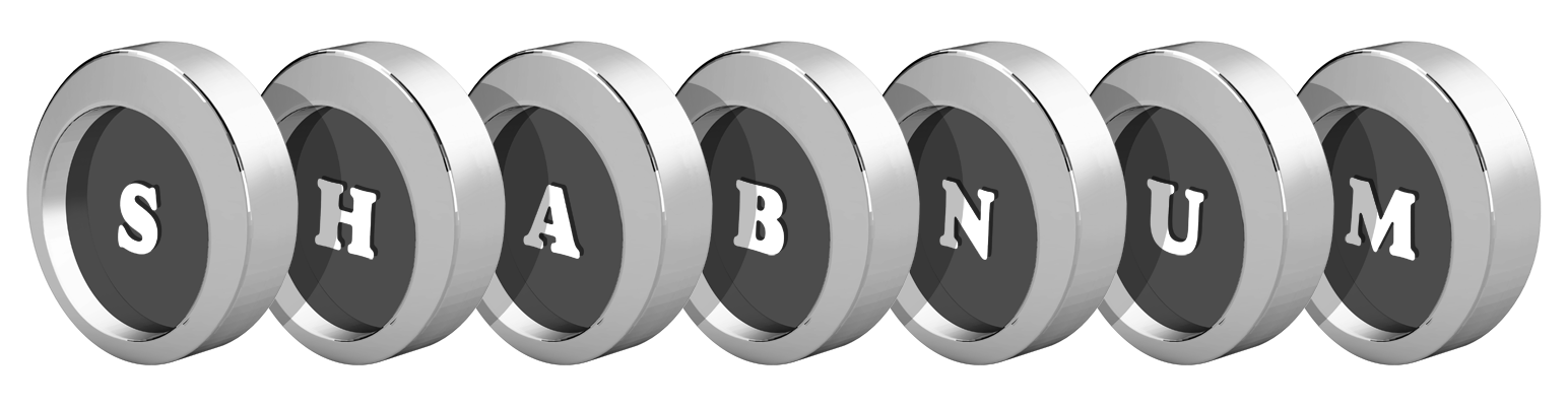 Shabnum coins logo